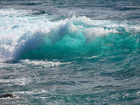 Shoreline 1 Black Ornate Wood Framed Art Print with Double Matting by Nebula, Melissa