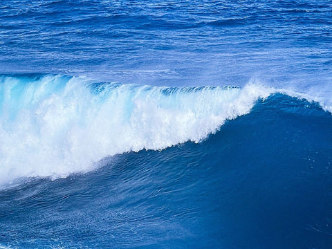 Tidal Ease Black Ornate Wood Framed Art Print with Double Matting by Nebula, Melissa