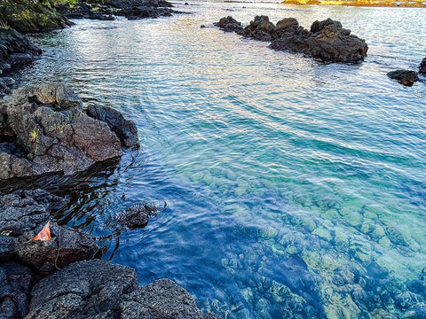 Ocean Echoes White Modern Wood Framed Art Print with Double Matting by Nebula, Melissa