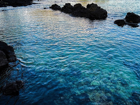 Watery Blanket Black Modern Wood Framed Art Print by Nebula, Melissa