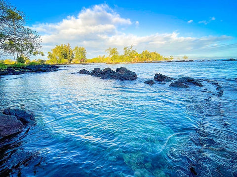 Pacific Morning Revival Black Modern Wood Framed Art Print by Nebula, Melissa