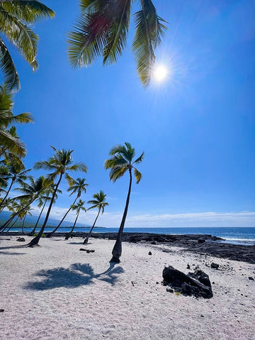 Walking Into Forgiveness Black Modern Wood Framed Art Print by Nebula, Melissa