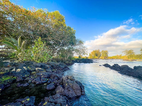 Tidal Coze Black Modern Wood Framed Art Print by Nebula, Melissa