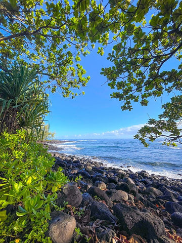 Hilo Cove Black Modern Wood Framed Art Print by Nebula, Melissa