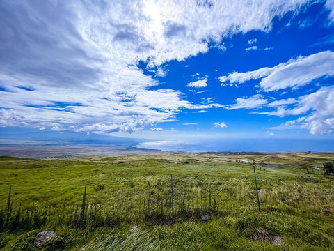 Country Road On Kohala Coastline Black Modern Wood Framed Art Print by Nebula, Melissa