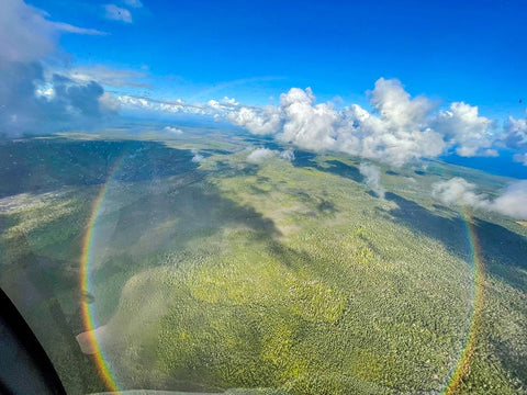 Full Circle Birds Eye Black Ornate Wood Framed Art Print with Double Matting by Nebula, Melissa