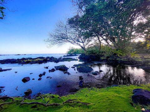 Still Of The Morning White Modern Wood Framed Art Print with Double Matting by Nebula, Melissa