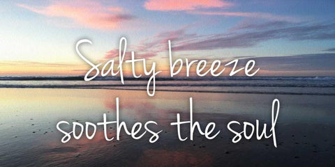 Salty Breeze Black Ornate Wood Framed Art Print with Double Matting by Prime, Marcus
