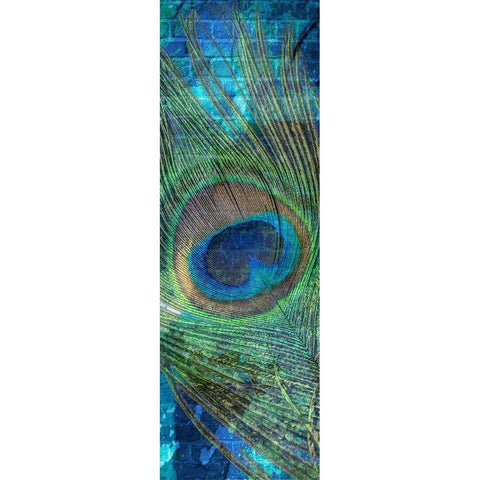 Urban Peacock 1 White Modern Wood Framed Art Print by Prime, Marcus