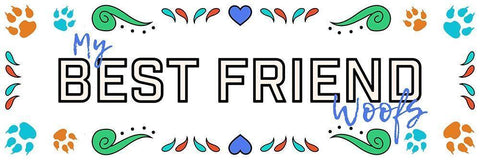 Sugar Best Friend 2 White Modern Wood Framed Art Print with Double Matting by Prime, Marcus