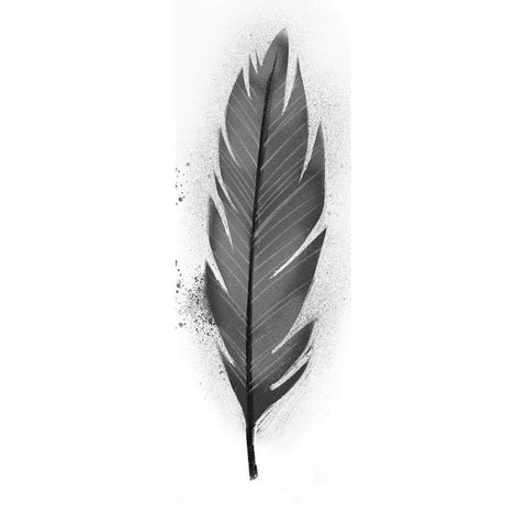 Wonder Feather 1 Black Modern Wood Framed Art Print by Prime, Marcus