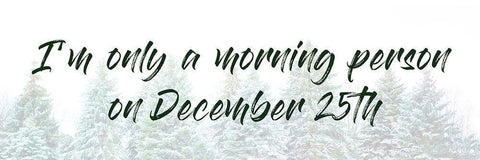 December Morning White Modern Wood Framed Art Print with Double Matting by Prime, Marcus