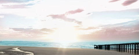 Bright Stroll 1 Black Ornate Wood Framed Art Print with Double Matting by Prime, Marcus