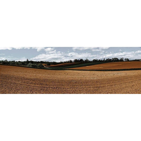 Fields Of Fall 1 Gold Ornate Wood Framed Art Print with Double Matting by Prime, Marcus
