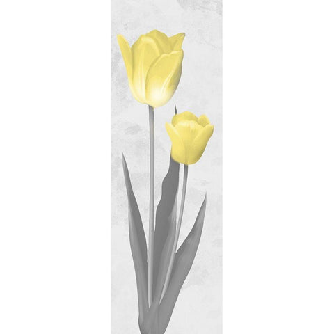 Shinning Bloom 2 White Modern Wood Framed Art Print by Prime, Marcus