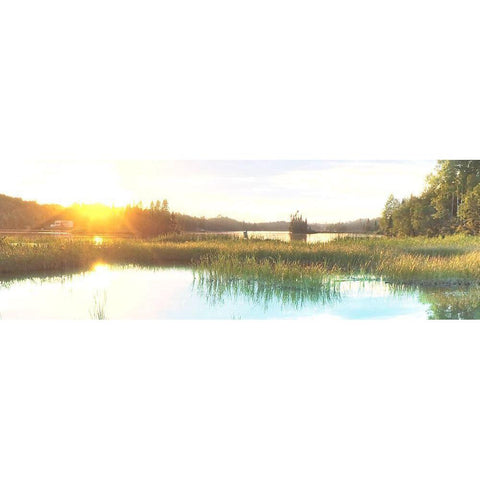 Sunny Marsh 2 Black Modern Wood Framed Art Print by Prime, Marcus