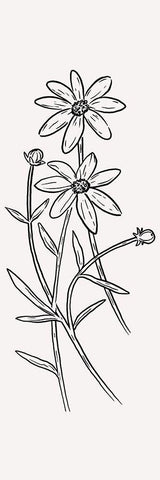 Simple Bloom Black Ornate Wood Framed Art Print with Double Matting by Prime, Marcus