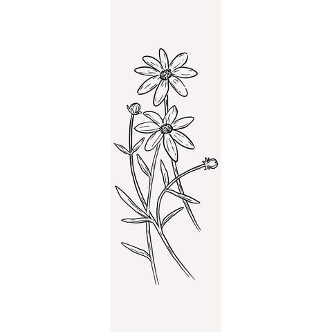 Simple Bloom White Modern Wood Framed Art Print by Prime, Marcus