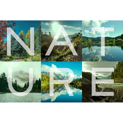 Nature Patch Black Modern Wood Framed Art Print with Double Matting by Prime, Marcus