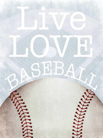 Baseball Love White Modern Wood Framed Art Print with Double Matting by Prime, Marcus