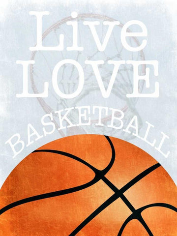 Basketball Love White Modern Wood Framed Art Print with Double Matting by Prime, Marcus