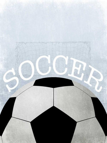 Soccer Love 2 White Modern Wood Framed Art Print with Double Matting by Prime, Marcus