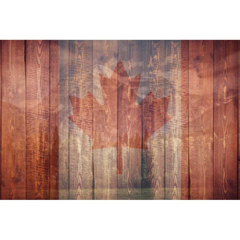 Majestic Canada White Modern Wood Framed Art Print by Prime, Marcus