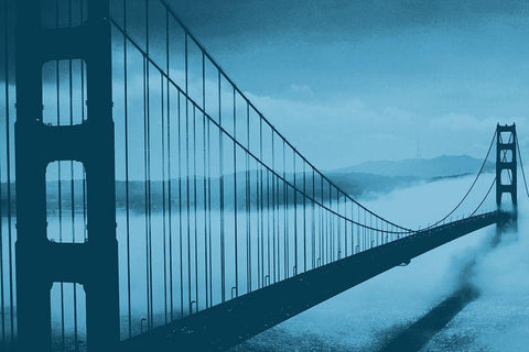 Golden Gate Evening Black Ornate Wood Framed Art Print with Double Matting by Prime, Marcus