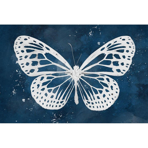 Midnight Flight Black Modern Wood Framed Art Print by Prime, Marcus