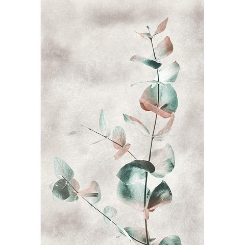 Blooming Botanical White Modern Wood Framed Art Print by Prime, Marcus