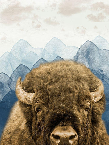 Mountain Fluffy Bison White Modern Wood Framed Art Print with Double Matting by Prime, Marcus