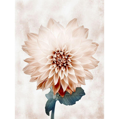 Desired Growth Black Modern Wood Framed Art Print by Prime, Marcus