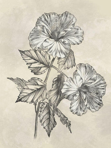 Muted Floral Sketches 2 White Modern Wood Framed Art Print with Double Matting by Prime, Marcus