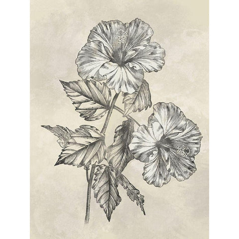 Muted Floral Sketches 2 Black Modern Wood Framed Art Print by Prime, Marcus