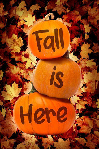 Fall Is Here White Modern Wood Framed Art Print with Double Matting by Prime, Marcus