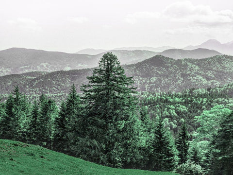 Mountain Beauty White Modern Wood Framed Art Print with Double Matting by Prime, Marcus