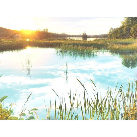 Sunny Marsh Black Modern Wood Framed Art Print with Double Matting by Prime, Marcus