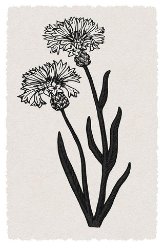 Rural Florals Black Ornate Wood Framed Art Print with Double Matting by Prime, Marcus