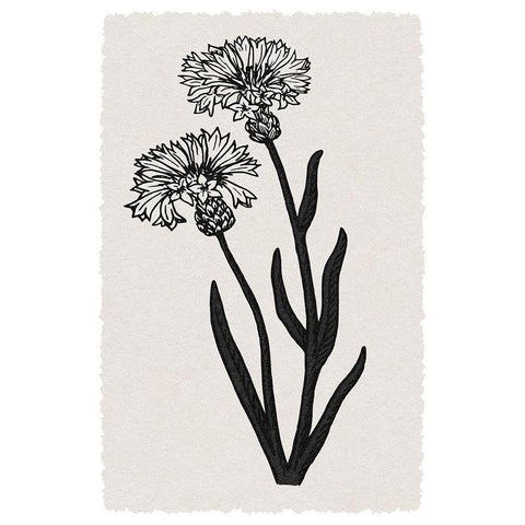 Rural Florals White Modern Wood Framed Art Print by Prime, Marcus