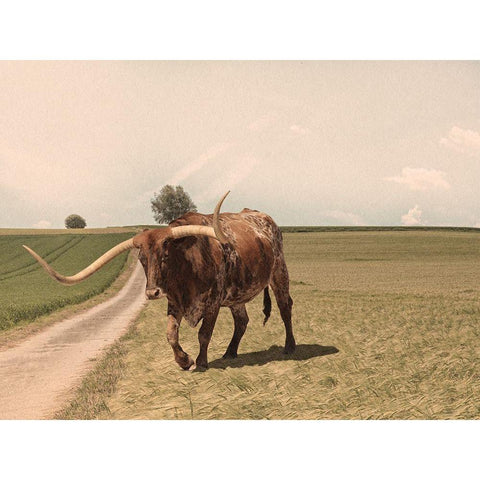 Desolate Steer 2 Gold Ornate Wood Framed Art Print with Double Matting by Prime, Marcus