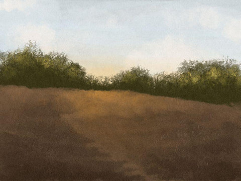 Solitude Walk White Modern Wood Framed Art Print with Double Matting by Prime, Marcus