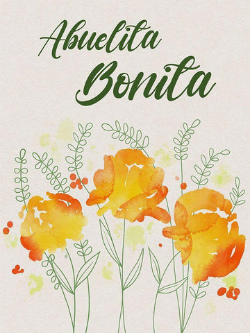 Abuelita Bonita 1 White Modern Wood Framed Art Print with Double Matting by Prime, Marcus