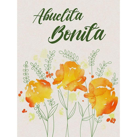 Abuelita Bonita 1 Gold Ornate Wood Framed Art Print with Double Matting by Prime, Marcus