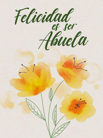Felicidad Abuela White Modern Wood Framed Art Print with Double Matting by Prime, Marcus