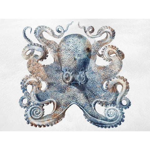 Swimming Ocean Friends 3 Black Modern Wood Framed Art Print with Double Matting by Prime, Marcus