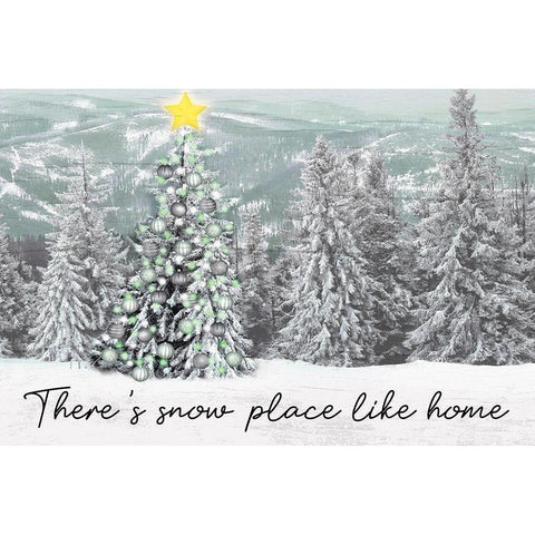 Snow Place Like Home Black Modern Wood Framed Art Print with Double Matting by Prime, Marcus