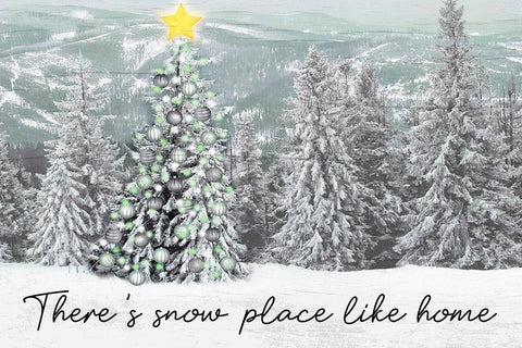 Snow Place Like Home White Modern Wood Framed Art Print with Double Matting by Prime, Marcus