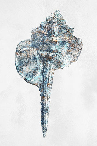 Urban Sea Shell 1 Black Ornate Wood Framed Art Print with Double Matting by Prime, Marcus