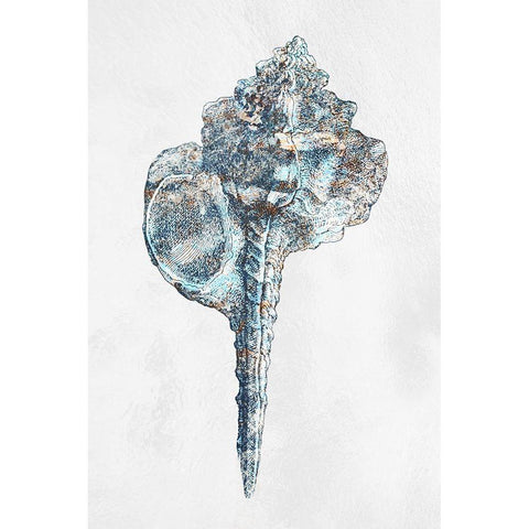 Urban Sea Shell 1 White Modern Wood Framed Art Print by Prime, Marcus