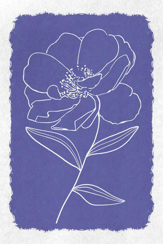 Image Only